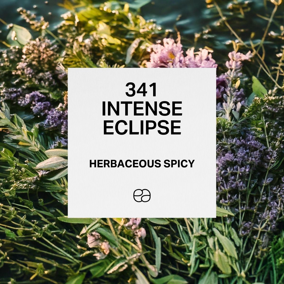 Intense Eclipse