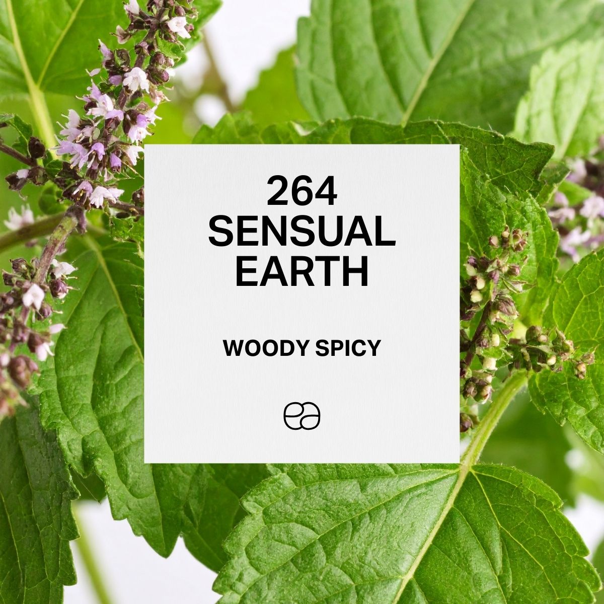 Sensual Earth