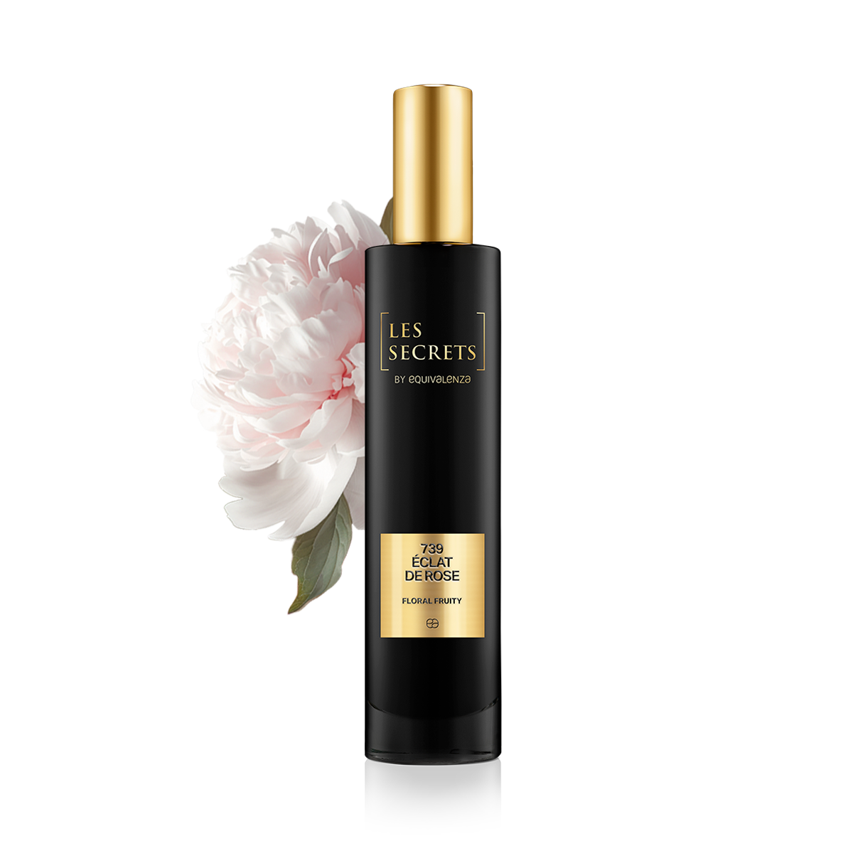 ECLAT DE ROSE