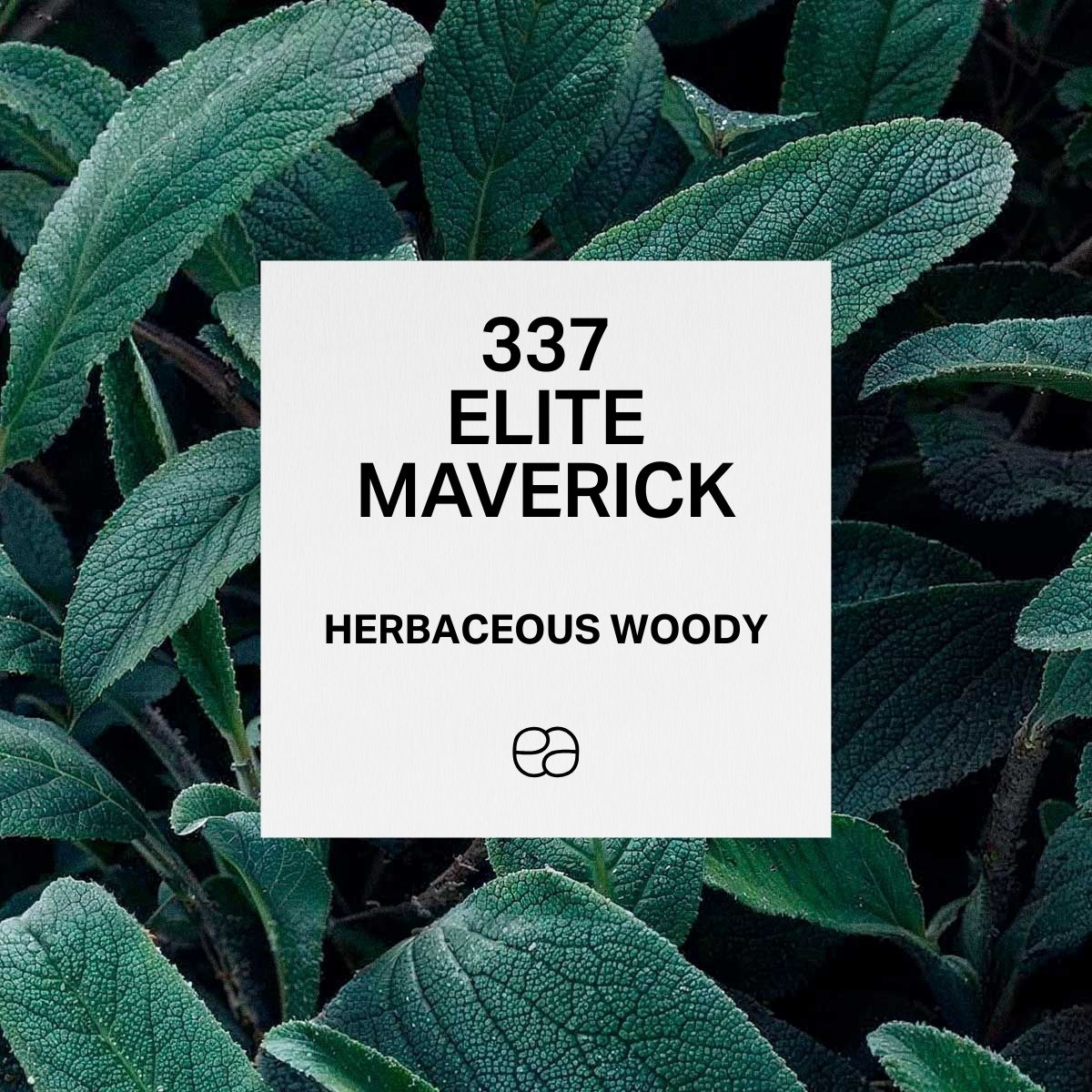 Elite Maverick